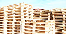 Palettes en bois